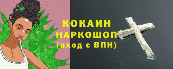СК Бородино