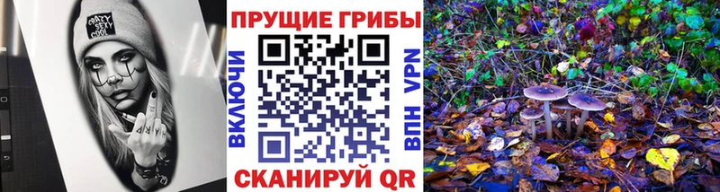Псилоцибиновые грибы MAGIC MUSHROOMS  ссылка на мегу сайт  Ишим 